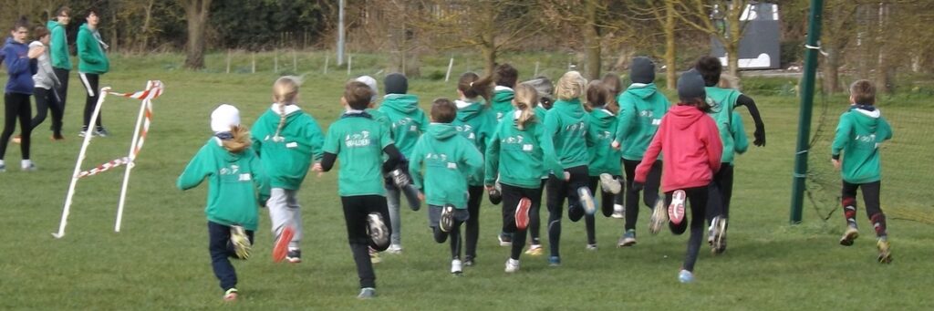 25447296393_0be72f9b35_o